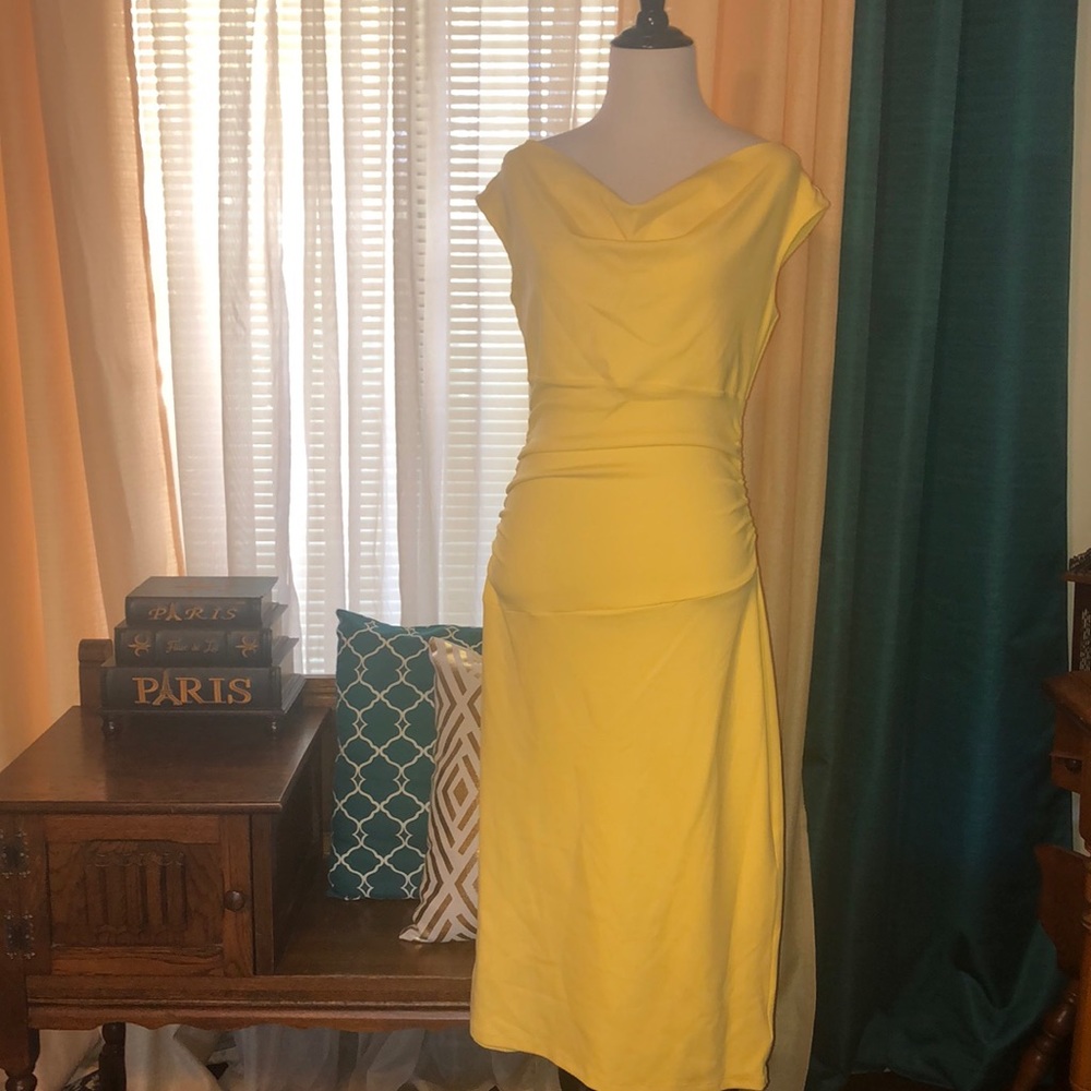 Office Dress/ special occasion